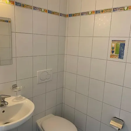 464 Nel Cuore Di Con Piscina * Locarno