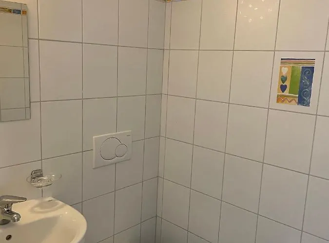 464 Nel Cuore Di Con Piscina * Locarno