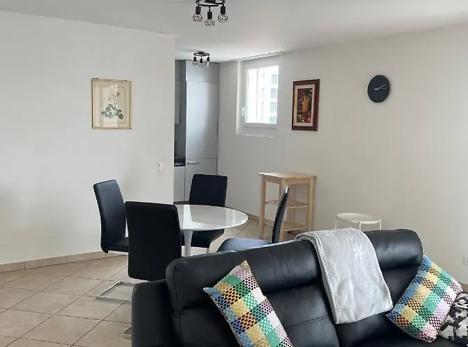 464 Nel Cuore Di Con Piscina Locarno